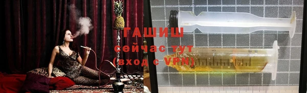 гашик Алексеевка
