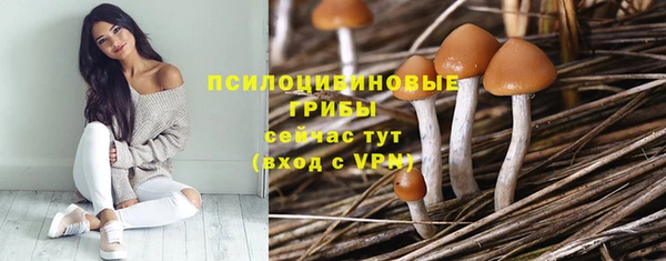 гашик Алексеевка
